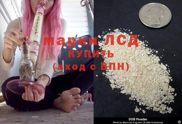 Альфа ПВП Аркадак