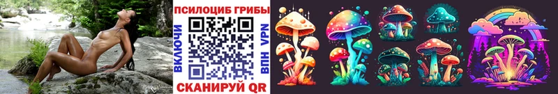купить   Белокуриха  ОМГ ОМГ ссылки  Галлюциногенные грибы мухоморы 